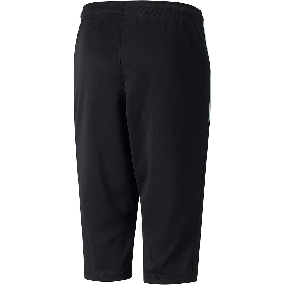 PUMA Team liga Training 3 4 Pants JR