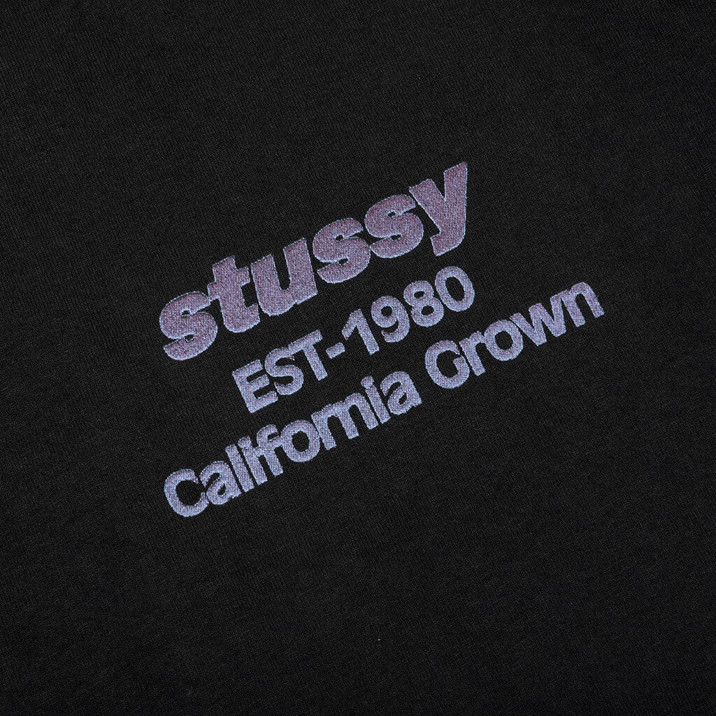 California Grown Pigment Dyed Tee Black