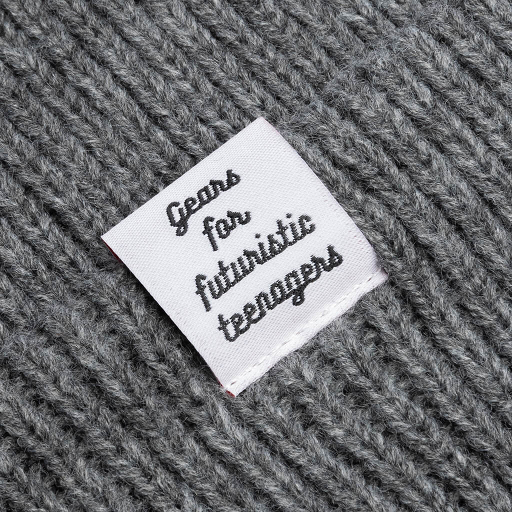 Classic Beanie Gray